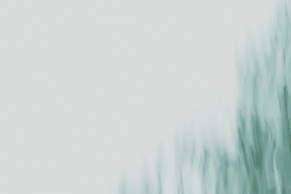 Kasino Wild Tornado Sokongan